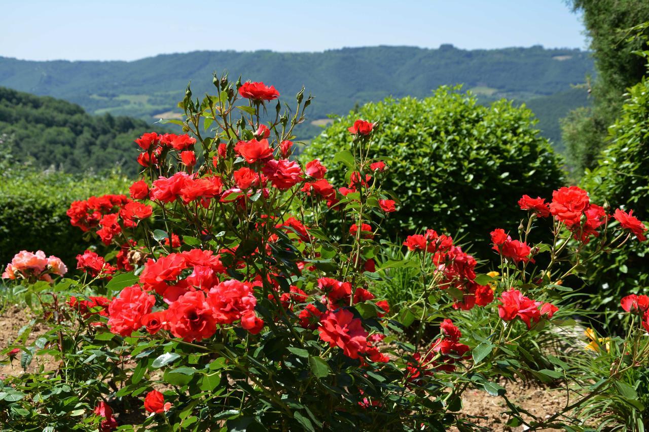 Penzion Il Poggiolo Di Parrano Exteriér fotografie